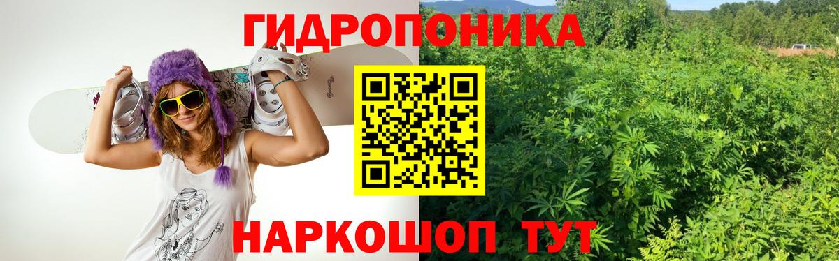 Кизилюрт  Шишки марихуана сатива  Бошки марихуана марихуана  Шишки марихуана планчик  Вход с VPN  Каннабис THC 21% 